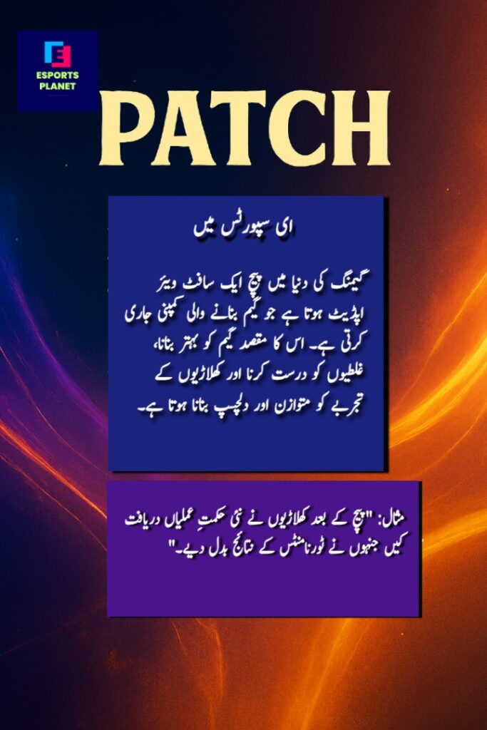 patch in esports meaning in urdu poster