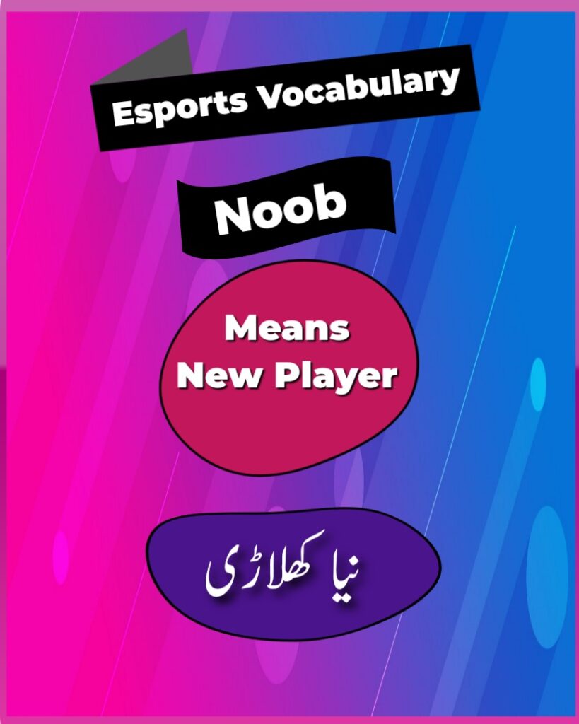 noob meaning in urdu gaming term